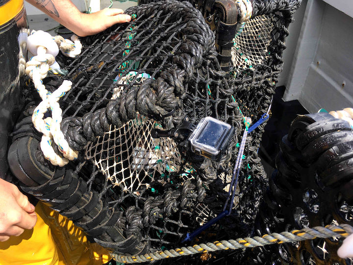 Action cameras can be attached to all sorts of kit in order to get an alternative angle © Robert Irving