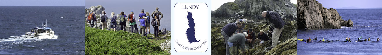 logo bdr get involved