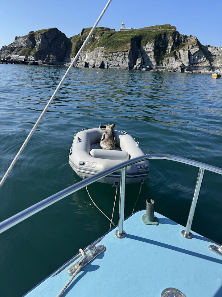 This is the life! © Martin Barrett